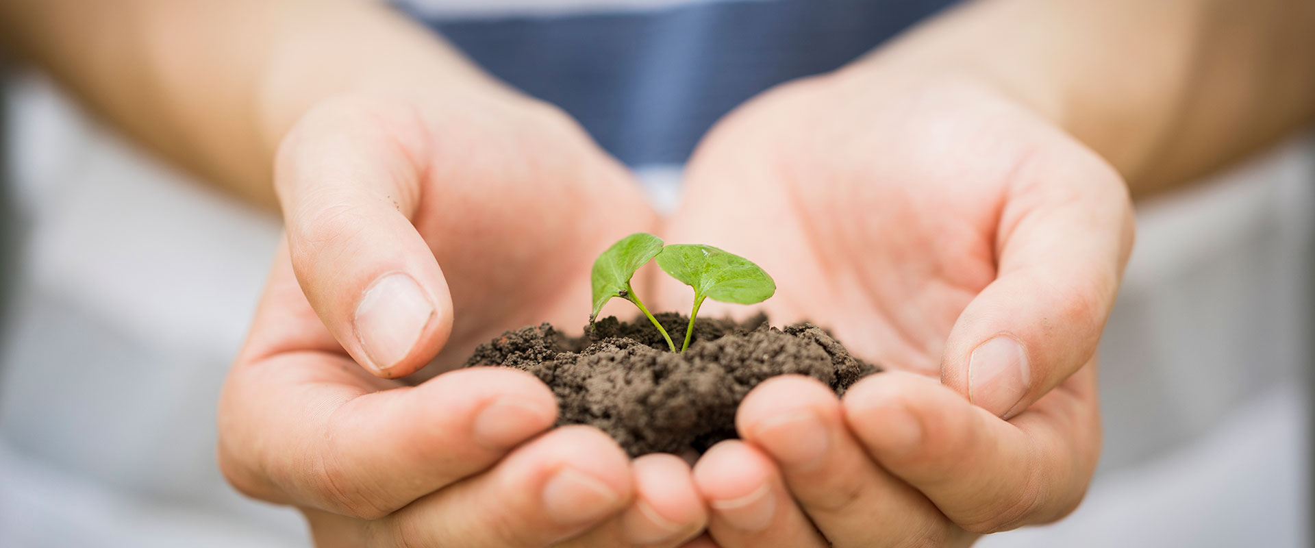 大有消毒 —— 全國(guó)超過(guò)80%以上二甲醫(yī)院選擇大有